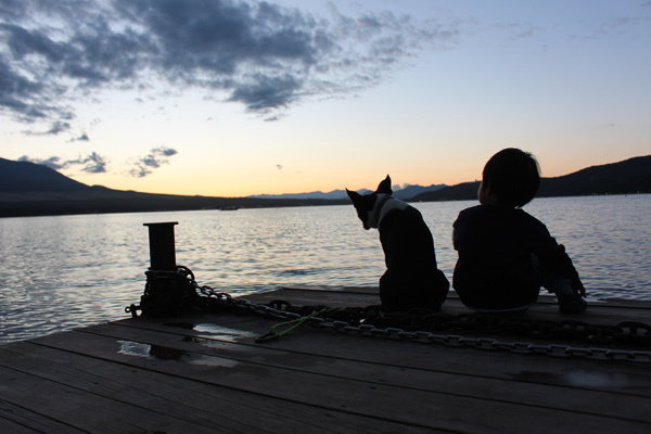 【いぬねこ うちのこ。】みつるくん（2歳）とボストンテリアの「もっちも」／まちみつもんさん