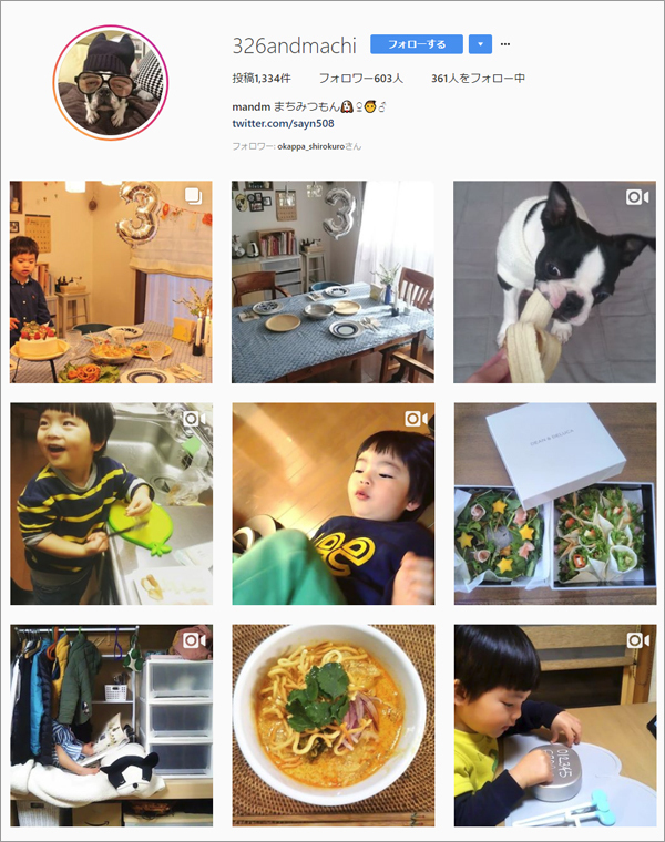 【いぬねこ うちのこ。】みつるくん（2歳）とボストンテリアの「もっちも」／まちみつもんさん