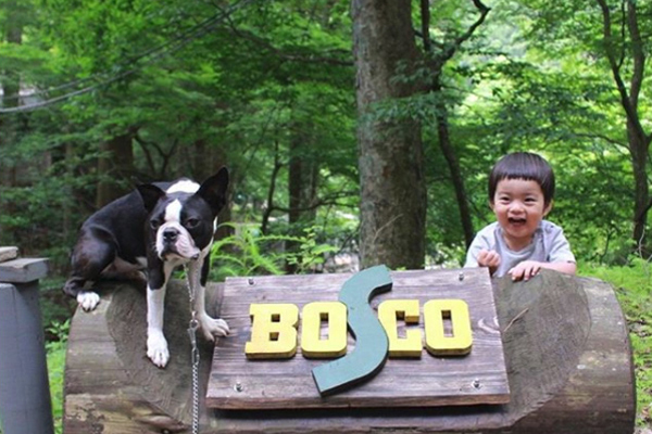 【いぬねこ うちのこ。】みつるくん（2歳）とボストンテリアの「もっちも」／まちみつもんさん