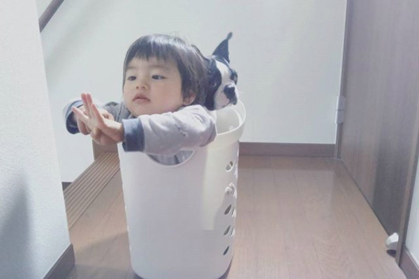 【いぬねこ うちのこ。】みつるくん（2歳）とボストンテリアの「もっちも」／まちみつもんさん