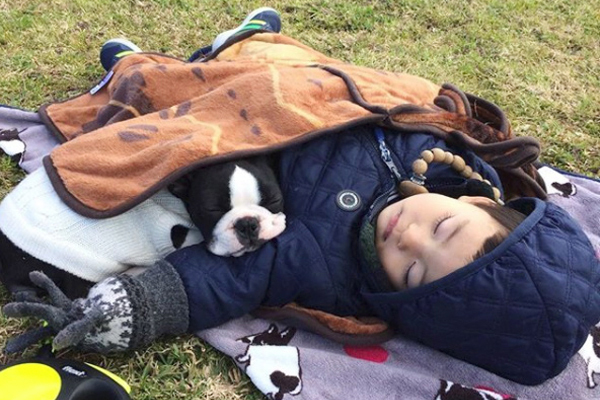 【いぬねこ うちのこ。】みつるくん（2歳）とボストンテリアの「もっちも」／まちみつもんさん