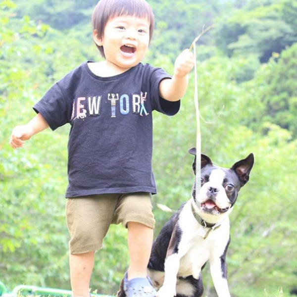 【いぬねこ うちのこ。】みつるくん（2歳）とボストンテリアの「もっちも」／まちみつもんさん