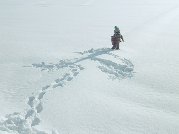 「子どもの正しい判断力」を奪っていないか？　大人にコントロールされない世界とは
