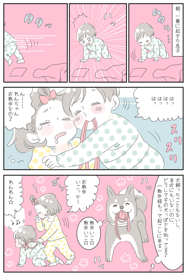 いまどきの「おままごと」はペット役が人気!?　犬になりきる息子【子育ては毎日がたからもの☆ 第17話】