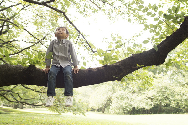 「森の幼稚園」発祥の地、デンマーク・ロラン島の “自由教育” とは？