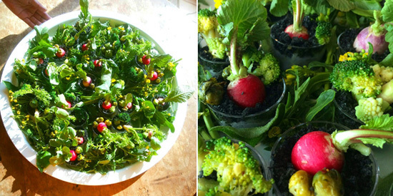 「森の幼稚園」発祥の地、デンマーク・ロラン島の “自由教育” とは？