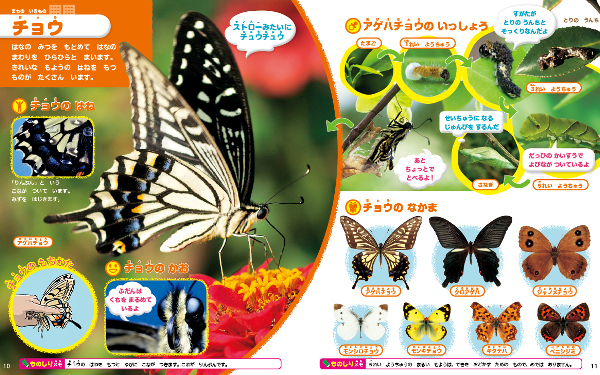 瀧靖之教授（脳医学）が総監修！ 賢い脳を育てる「読み聞かせ図鑑」