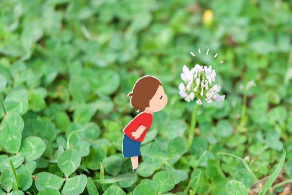 花かんむりの作り方。子どもと一緒にシロツメクサで作ろう！【昔ながらが”今”楽しい！レトロアートレシピ Vol.6】