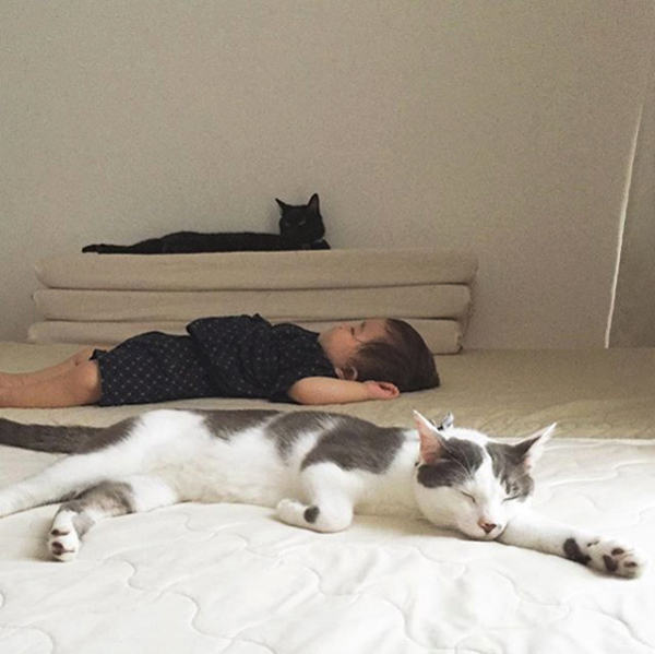 【いぬねこ うちのこ。】おにいちゃん（4歳）＆おとうと（2歳）と3匹の猫たち／くるのさん