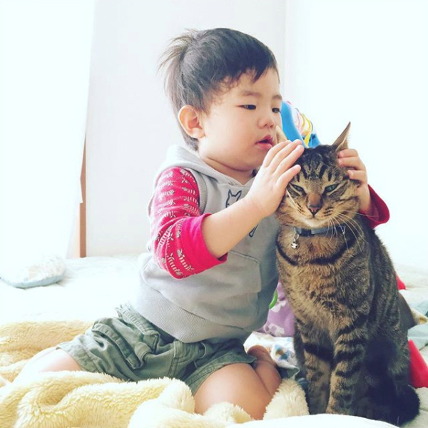【いぬねこ うちのこ。】おにいちゃん（4歳）＆おとうと（2歳）と3匹の猫たち／くるのさん