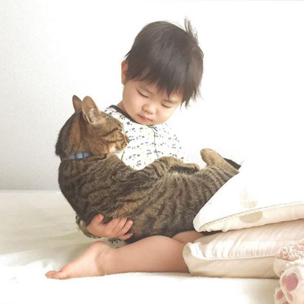 【いぬねこ うちのこ。】おにいちゃん（4歳）＆おとうと（2歳）と3匹の猫たち／くるのさん