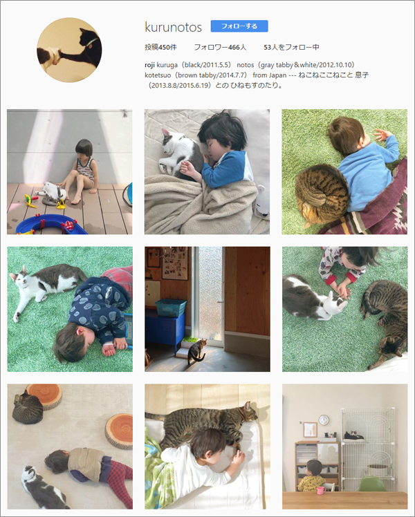 【いぬねこ うちのこ。】おにいちゃん（4歳）＆おとうと（2歳）と3匹の猫たち／くるのさん