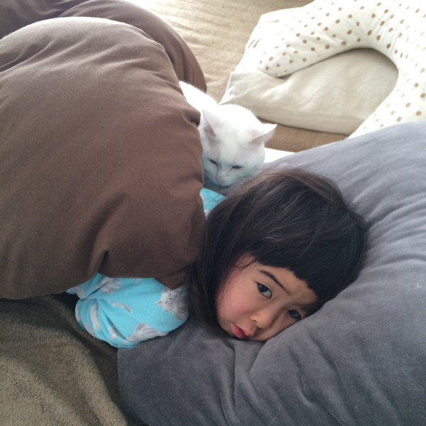 【いぬねこ うちのこ。】小春ちゃん（6歳）と素生くん（1歳）と猫の碧夫（推定4歳）／カラキカナエさん