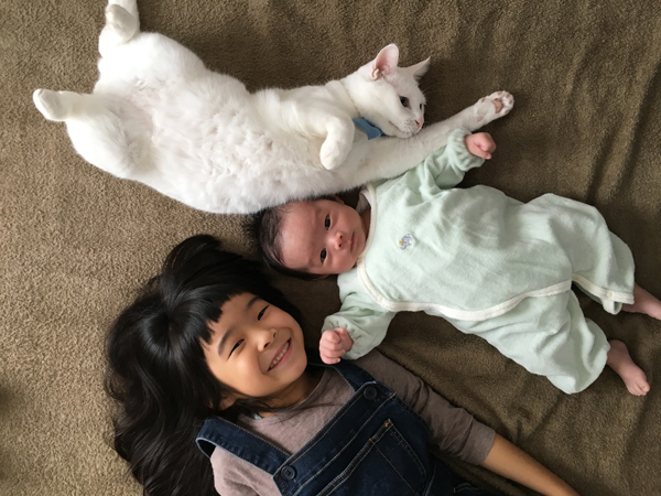 【いぬねこ うちのこ。】小春ちゃん（6歳）と素生くん（1歳）と猫の碧夫（推定4歳）／カラキカナエさん