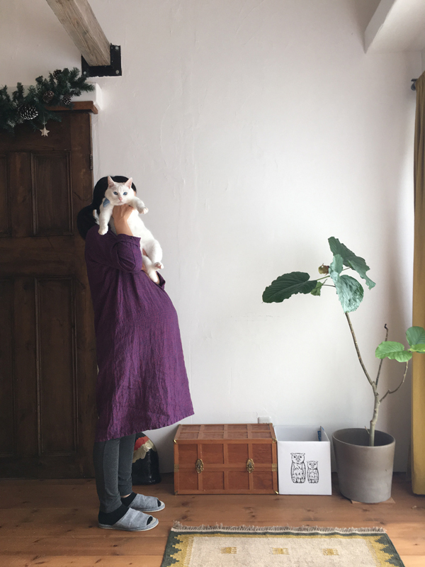 【いぬねこ うちのこ。】小春ちゃん（6歳）と素生くん（1歳）と猫の碧夫（推定4歳）／カラキカナエさん