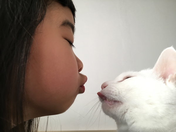 【いぬねこ うちのこ。】小春ちゃん（6歳）と素生くん（1歳）と猫の碧夫（推定4歳）／カラキカナエさん