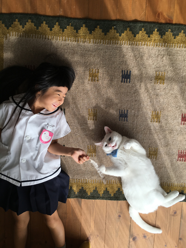 【いぬねこ うちのこ。】小春ちゃん（6歳）と素生くん（1歳）と猫の碧夫（推定4歳）／カラキカナエさん