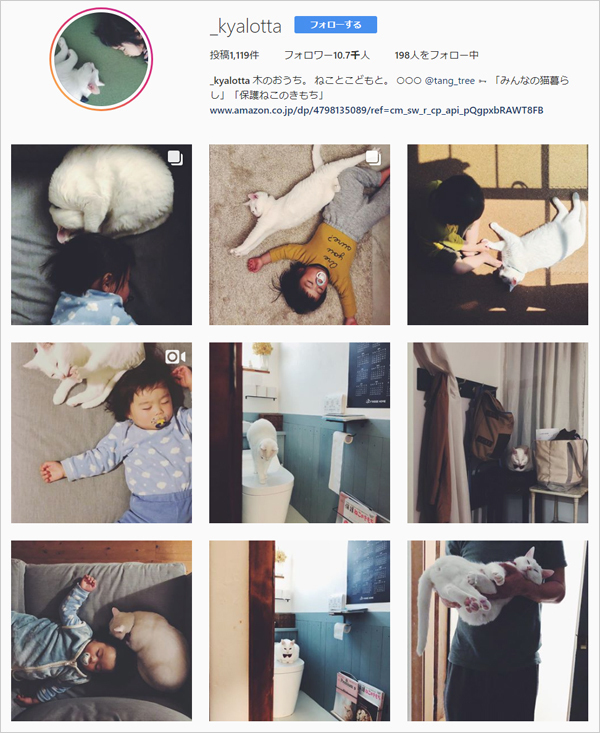 【いぬねこ うちのこ。】小春ちゃん（6歳）と素生くん（1歳）と猫の碧夫（推定4歳）／カラキカナエさん