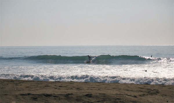海の幸・山の幸で食育バーベキューを！  話題のBBQスポット３選