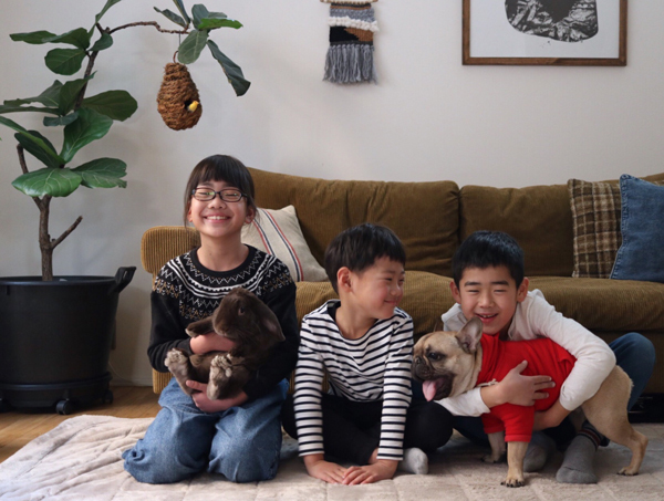 【いぬねこ うちのこ。】フレンチブルドッグのいち（1歳）となかよし3姉弟／しょこさん