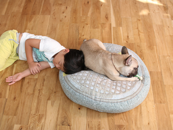 【いぬねこ うちのこ。】フレンチブルドッグのいち（1歳）となかよし3姉弟／しょこさん