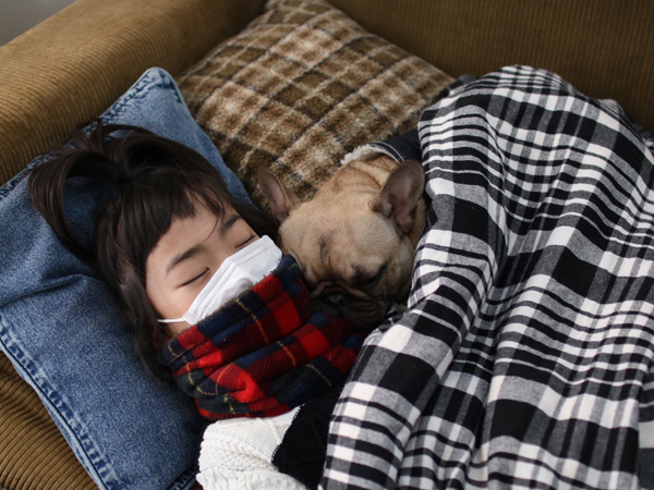 【いぬねこ うちのこ。】フレンチブルドッグのいち（1歳）となかよし3姉弟／しょこさん