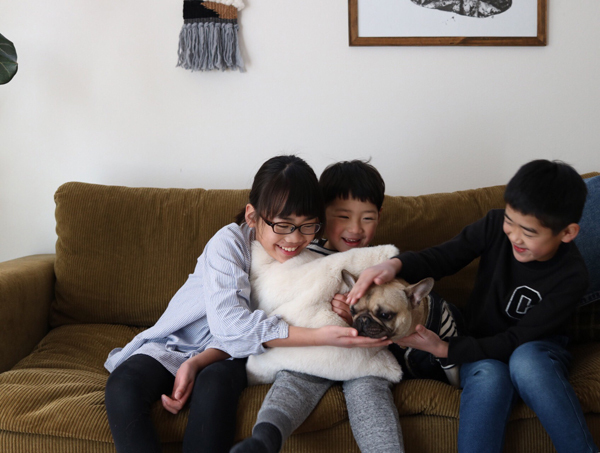 【いぬねこ うちのこ。】フレンチブルドッグのいち（1歳）となかよし3姉弟／しょこさん