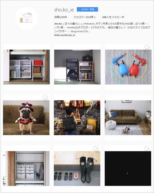 【いぬねこ うちのこ。】フレンチブルドッグのいち（1歳）となかよし3姉弟／しょこさん