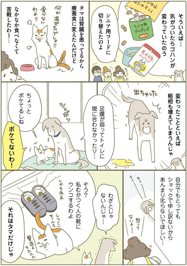 ネコちゃんに教わる、シニアペットと暮らす心得＜病気、介護、保険編＞