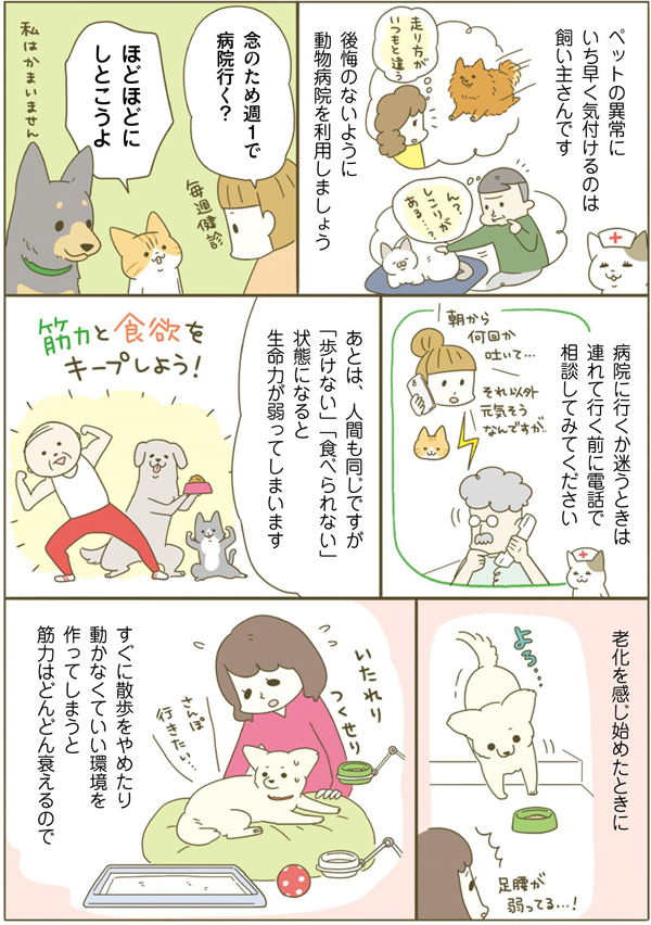 ネコちゃんに教わる、シニアペットと暮らす心得＜病気、介護、保険編＞