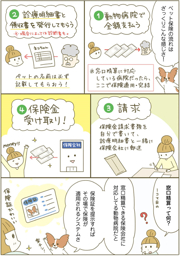 ネコちゃんに教わる、シニアペットと暮らす心得＜病気、介護、保険編＞