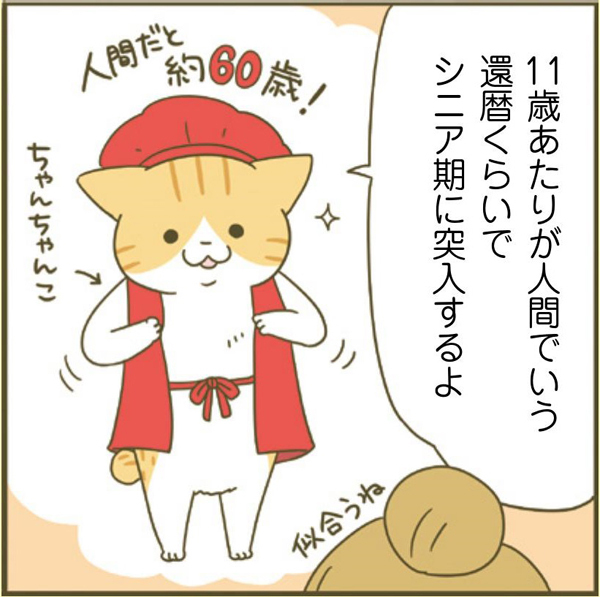 ネコちゃんに教わる、シニアペットと暮らす心得＜病気、介護、保険編＞