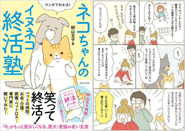 ネコちゃんに教わる、シニアペットと暮らす心得＜病気、介護、保険編＞