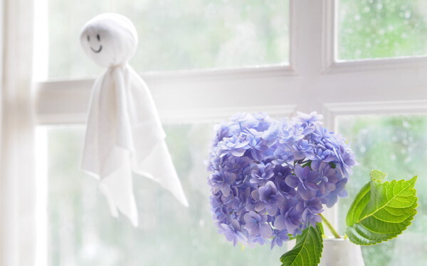 梅雨のジメジメ「○○をストックするだけ除湿」ほったらかし“カビ予防”