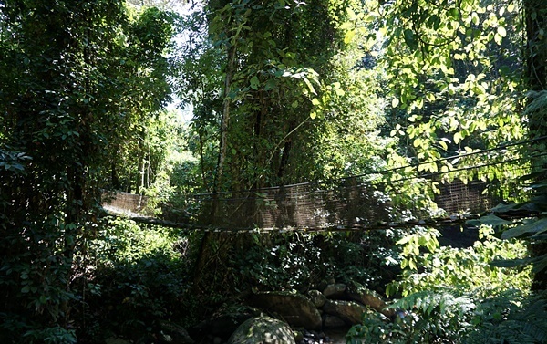 親子で一生の思い出づくり！ マレーシア・コタキナバルでビーチ＆ジャングル体験