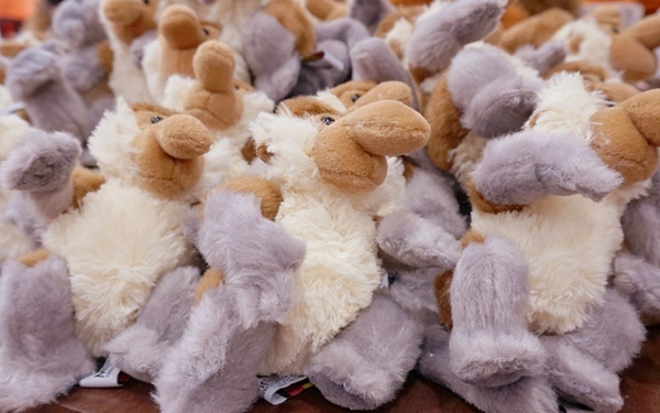 親子で一生の思い出づくり！ マレーシア・コタキナバルでビーチ＆ジャングル体験