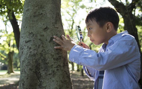 外遊び、子どもの年齢別でどう変わる?【発達の専門家に聞いた外遊びの効果 第3回】
