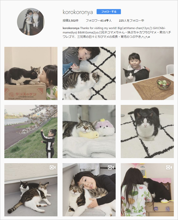 【いぬねこ うちのこ。】ちびマメちゃん（6歳） と猫のマメとゴマ／korokoronyaさん