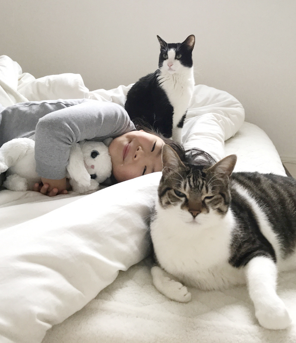 【いぬねこ うちのこ。】ちびマメちゃん（6歳） と猫のマメとゴマ／korokoronyaさん