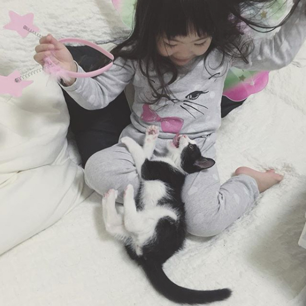【いぬねこ うちのこ。】ちびマメちゃん（6歳） と猫のマメとゴマ／korokoronyaさん