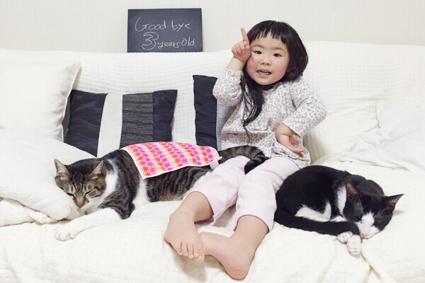 いぬねこ うちのこ ちびマメちゃん 6歳 と猫のマメとゴマ Korokoronyaさん ウーマンエキサイト
