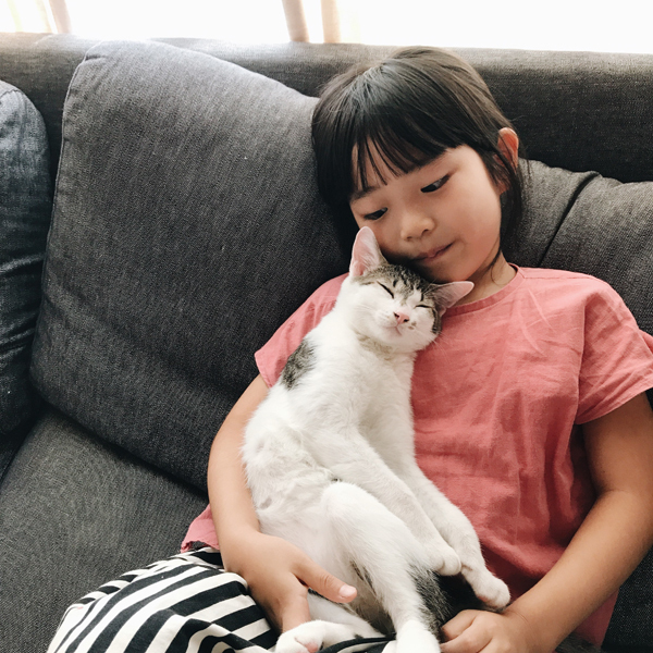 【いぬねこ うちのこ。】みちかちゃん（7歳）かほちゃん（5歳）と猫のコモン／やまがたゆりかさん