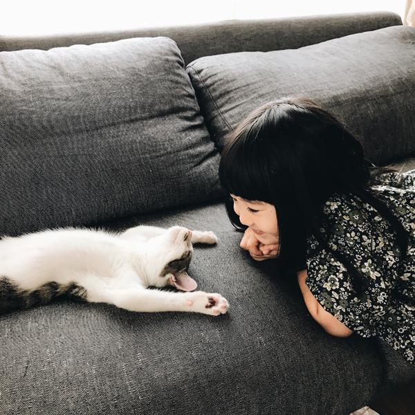 【いぬねこ うちのこ。】みちかちゃん（7歳）かほちゃん（5歳）と猫のコモン／やまがたゆりかさん