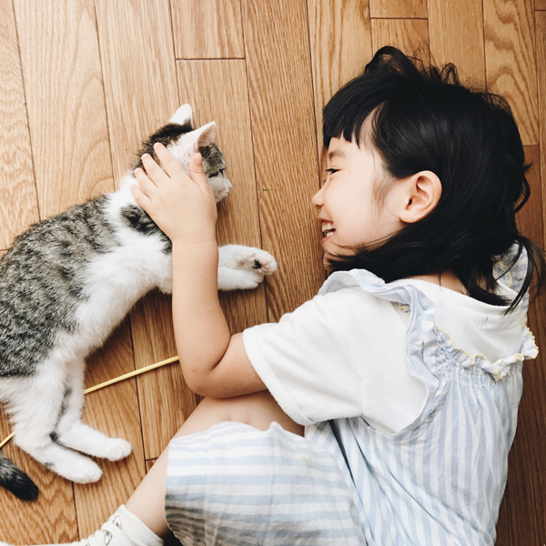 【いぬねこ うちのこ。】みちかちゃん（7歳）かほちゃん（5歳）と猫のコモン／やまがたゆりかさん