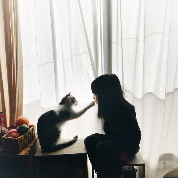 【いぬねこ うちのこ。】みちかちゃん（7歳）かほちゃん（5歳）と猫のコモン／やまがたゆりかさん