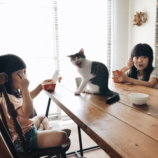【いぬねこ うちのこ。】みちかちゃん（7歳）かほちゃん（5歳）と猫のコモン／やまがたゆりかさん
