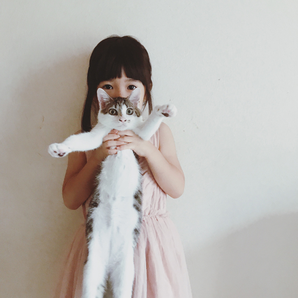 【いぬねこ うちのこ。】みちかちゃん（7歳）かほちゃん（5歳）と猫のコモン／やまがたゆりかさん