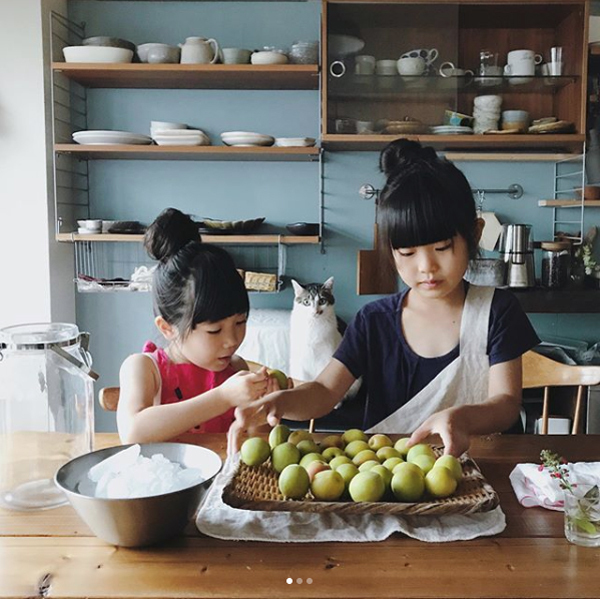 【いぬねこ うちのこ。】みちかちゃん（7歳）かほちゃん（5歳）と猫のコモン／やまがたゆりかさん