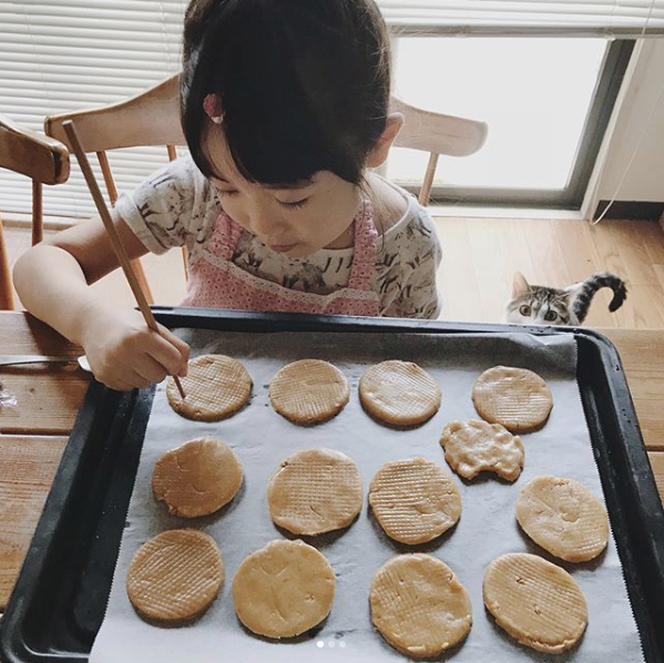 【いぬねこ うちのこ。】みちかちゃん（7歳）かほちゃん（5歳）と猫のコモン／やまがたゆりかさん