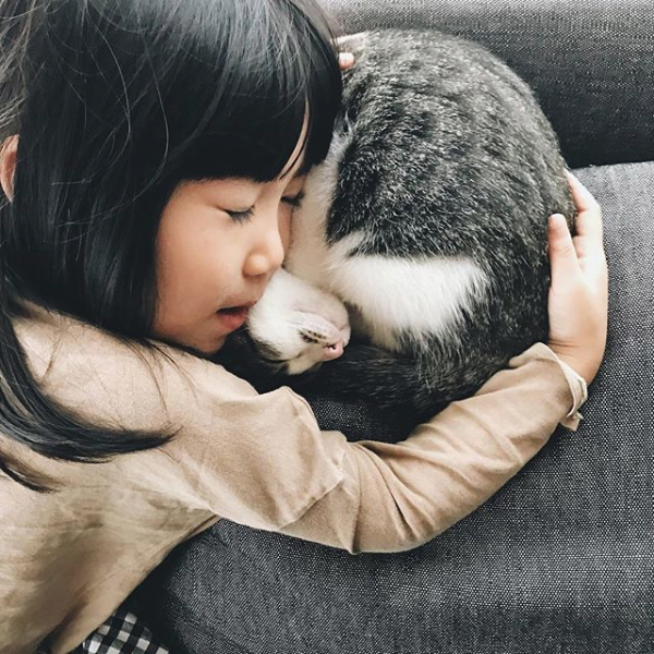 【いぬねこ うちのこ。】みちかちゃん（7歳）かほちゃん（5歳）と猫のコモン／やまがたゆりかさん